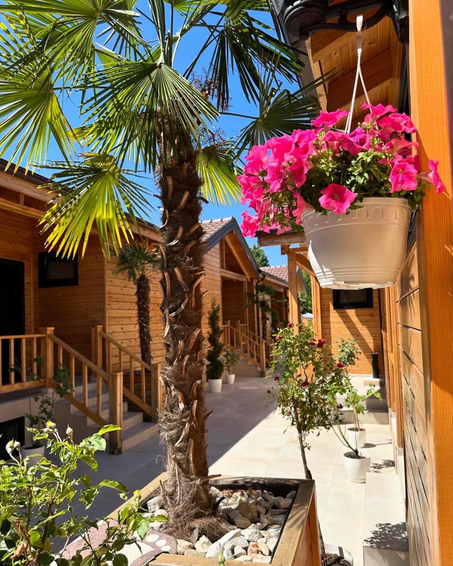 Bujtina Siar Hotel Pogradec Eksteriør billede