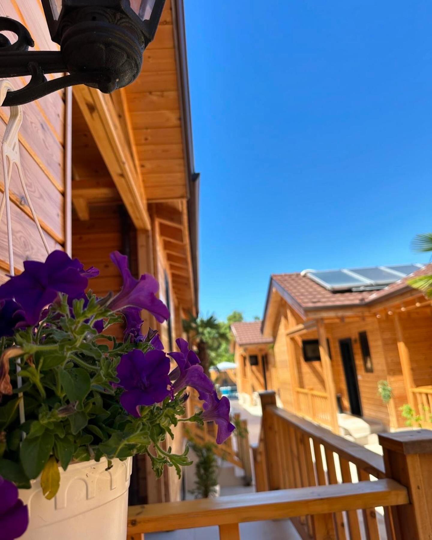 Bujtina Siar Hotel Pogradec Eksteriør billede